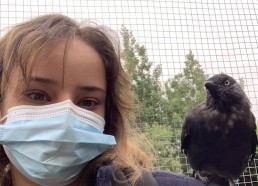 Mathilde en compagnie du corbeau