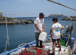 Pêcheur à Barcaggio