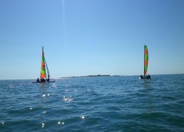 Cap sur l’île de Tatihou