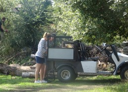 Pour transporter le bois on utilise la golfette