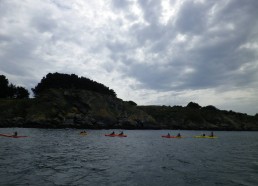 Balade en kayaks de mer