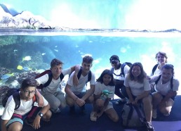 Visite de l’Aquarium de La Rochelle