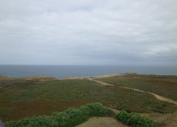 Vue depuis le haut du phare de Pen Men