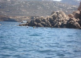Plongée et baignade