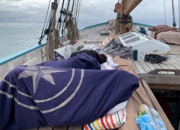 Comme à leur habitude, sieste sur le roof