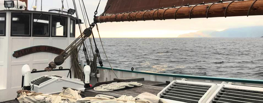 Fleur de Lampaul près des côtes espagnoles