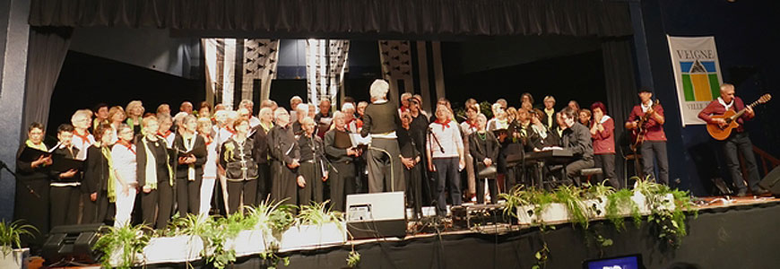 Concert des fous de Bassan au profit des Matelots de la Vie