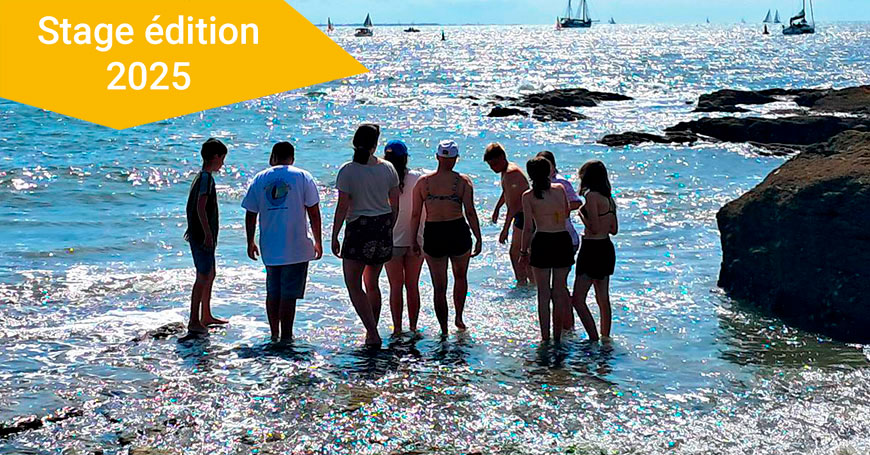 Viens naviguer avec Matelots de la Vie en Méditerranée !