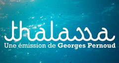 Thalassa avec les Matelots de la Vie