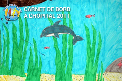 Carnet de bord à l'hôpital 2011