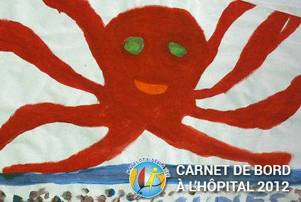 Carnet de bord à l'hôpital 2013