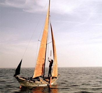 Tara Tari le voilier de Capucine Trochet