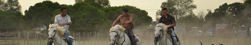 Soirée camarguaise