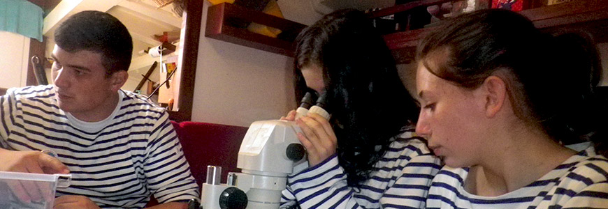 Atelier observation à l'aide des loupes binoculaires