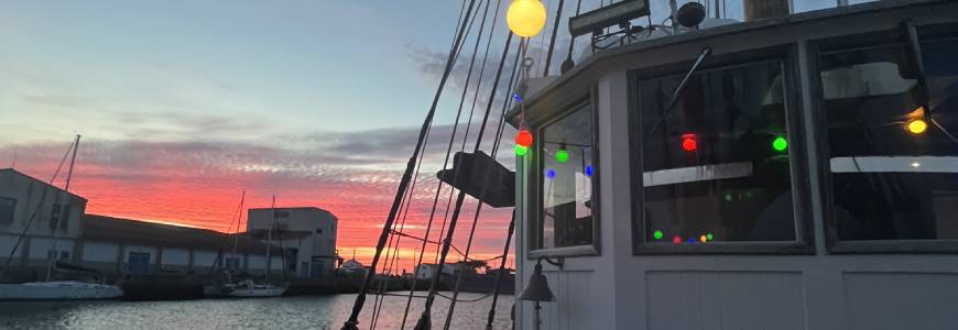 Première journée sur l’île d’Yeu