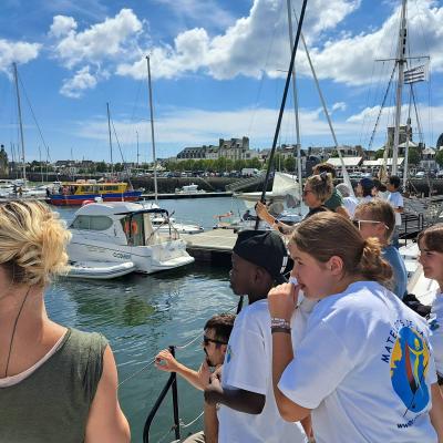 Tous aux aguets, un dauphin dans le port de Concarneau !! 