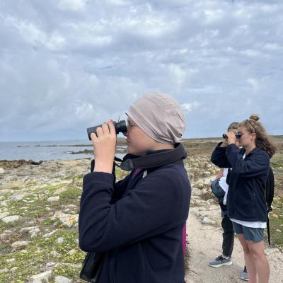 Observation de la faune locale