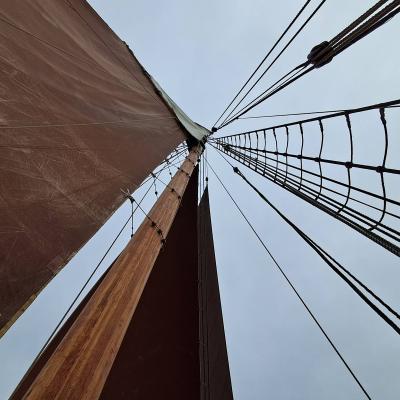 Le foc, la Trinquette, et la grande voile photographiés depuis le pont