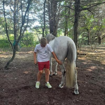 Gabin et le cheval
