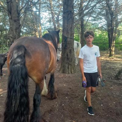 Thomas et le Cheval