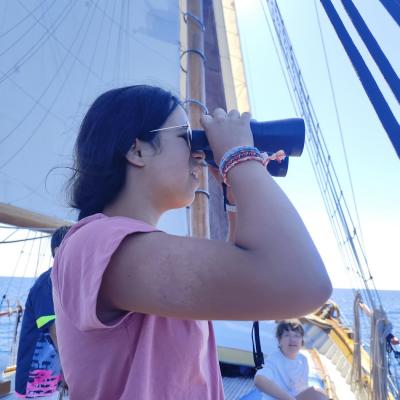 Observation d’un cachalot et de dauphins