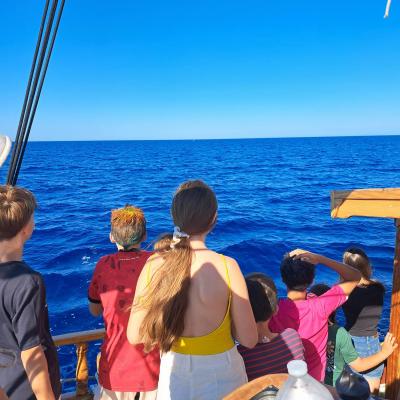 Observation d’un cachalot et de dauphins