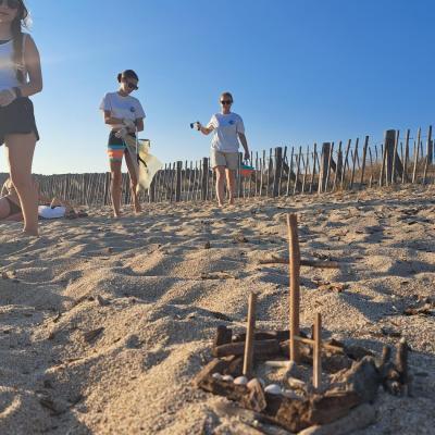 Nettoyage de la plage du Ricante avec Corsica Clean Nature