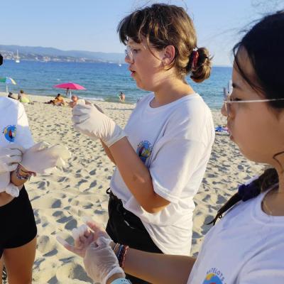 Nettoyage de la plage du Ricante avec Corsica Clean Nature
