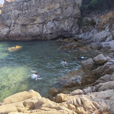Snorkeling devant STARESO, un vrai aquarium naturel.