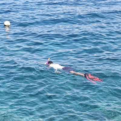 Snorkeling devant STARESO, un vrai aquarium naturel.