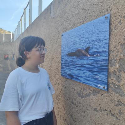 Exposition de photos marines
