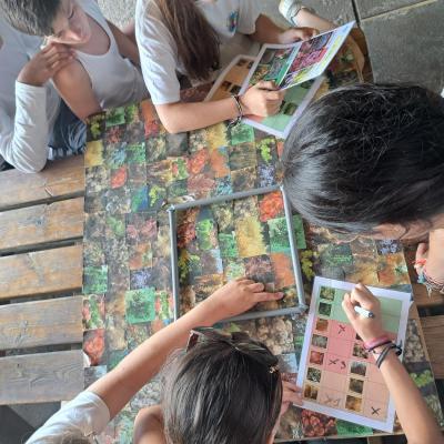 6.1Apprentissage des rudiments d’observation sous-marine