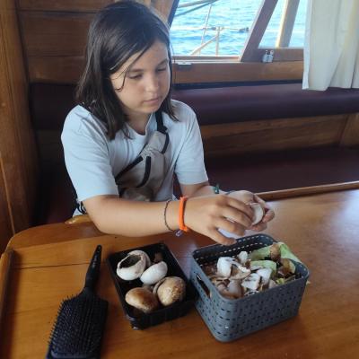 Préparation des champignons 