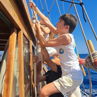 Il est temps de hisser les voiles pour partir voir les cétacés 