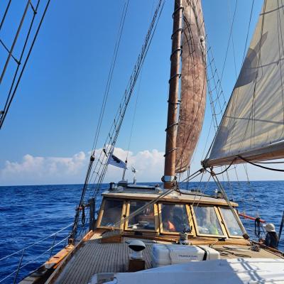 Quel beau bateau !