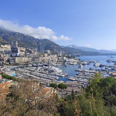 Le port vu du Rocher 