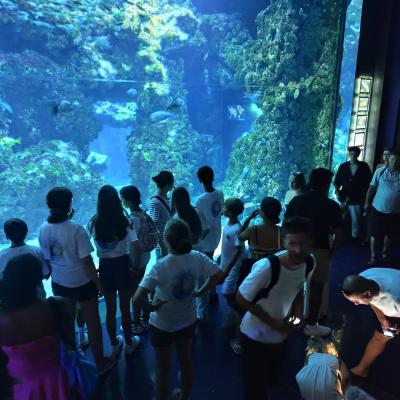 On poursuit avec la visite de l’aquarium 