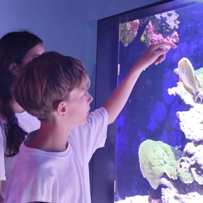 Arthur et Marianne sont fascinés par les poissons