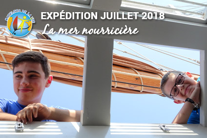 Vidéos des expéditions de Juillet 2018 : La mer nourricière