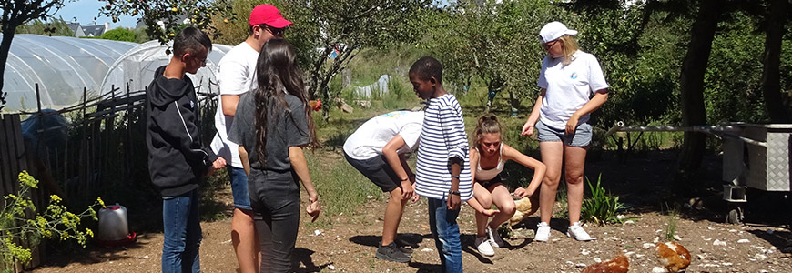 Île Houat, Vivier, tomates et plage !