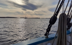 Journée à Hoëdic
