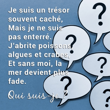 Énigme test du 7 au 9 juillet 2025