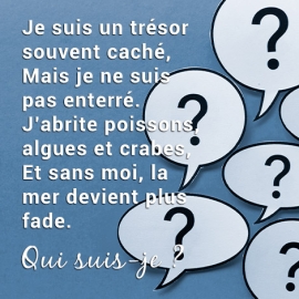 Énigme test du 7 au 9 juillet 2025