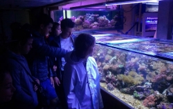 Visite de la ferme de corail &amp; préparatifs du départ